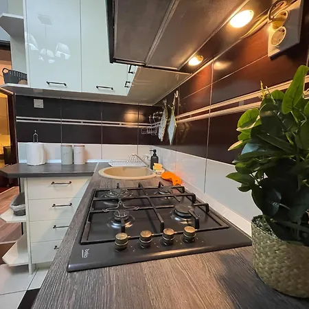 Fortress View דירה טימישוארה